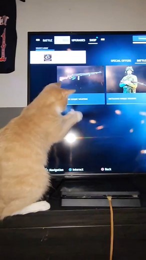 16K views · 111 reactions | Little soldier Credit: Jeremy Wilcox ________________________ #enlistedgame #tank #tanks #worldwar2 #ww2 #wwii #history #militaryhistory #panzer #tigertank #sherman #t34 #armoredvehicle #pcgame #pcgames #pcgamer #gaming #xbox #ps5 | Enlisted | Facebook