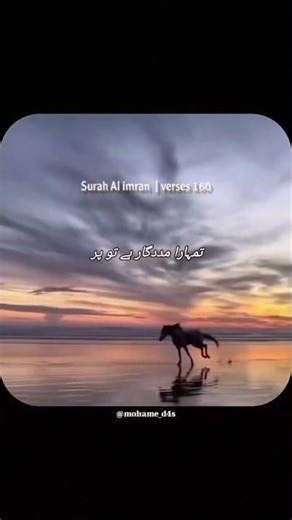 Islamic #facts #allah #allah #islamicchannel #video #love #islamictv