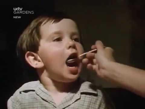 Episode 5 Wartime Kitchen and Gardening