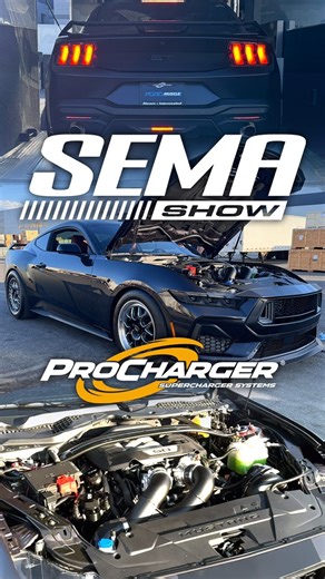 #procharged MUSTANG POWER IS COMING TO THE ProCharger Superchargers BOOTH!! 💪 Follow along as we get the FordMuscle.com 2024 Mustang loaded into the booth, rocking our ProCharger P-1X system!!! SEE YOU HERE 🫵• Las Vegas Convention Center• Central Hall Booth #22627• (11.05.24 - 11.08.24) #procharger_official #procharger #prochargersuperchargers #procharged #prochargedmustang #ford #fordmustang #fordperformance #mustang #mustanggt #mustanglife #sema #semashow #sema2024 #lasvegas | ProCharger Sup