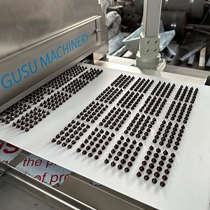 [Hot Item] Industrial Chocolate Chips Depositor Machine with 800mm Belt Width