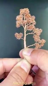 39K views · 109 reactions | DIY Bonsai Making | Amazing Clips | Facebook