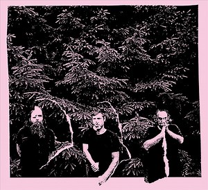 Raspberry Bulbs Concert & Tour History  | Concert Archives