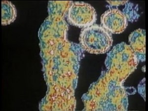 5.7K views · 31 reactions | Forensic Files Season 4 Episode 12 Part01 : With Every Breath #forensicfiles | Forensic Files - Global Online | Facebook