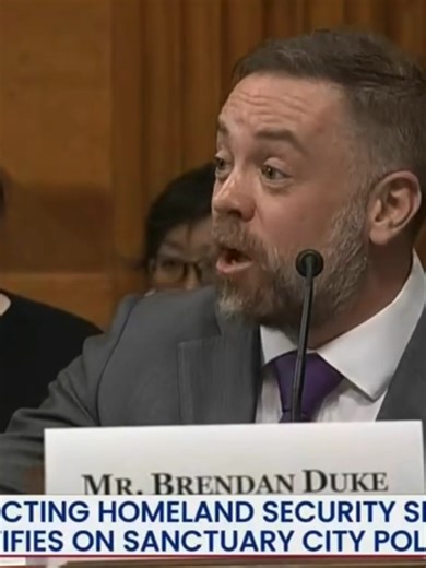 Former Director For Economic Policy SHOCKS the entire room at recent hearing with this INSANE responses. #brendanduke #USA #Democrats #cnn #trump