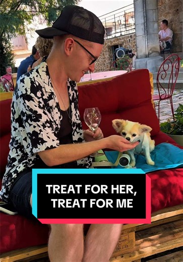 Champagne afternoon with my Chihuahua | Epernay dog-friendly treat