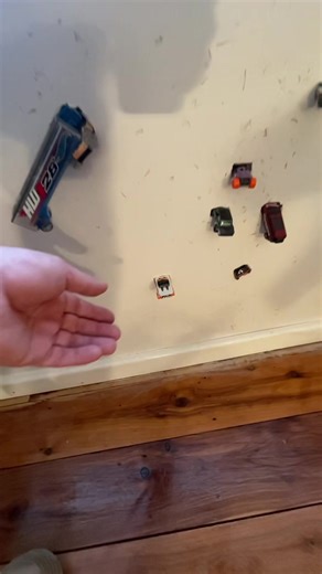 Haters will say there is NO cat in this loop. #loop #hotwheels #catsoftiktok