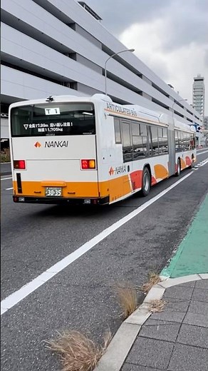 Suddenly... Encountered Nankai Bus' new Erga Duo (articulated bus) 2025.12.26 #shorts #routedbus