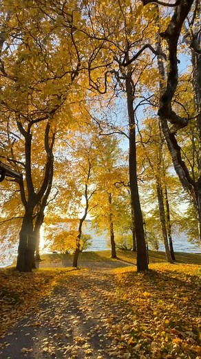 From the Lighthouse family, we wish you a day filled with God's light, love, and joy! | Lighthouse Bible Studies | Facebook