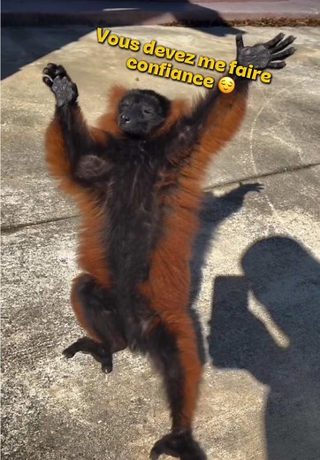 Compilation humoristique de doublages et cuisine