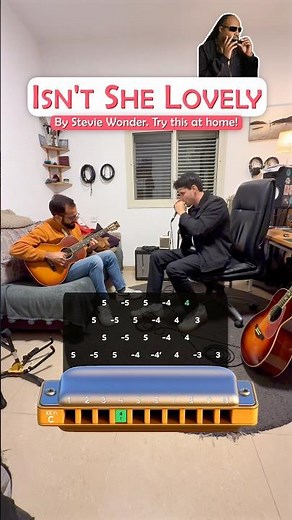 Isn’t She Lovely | Harmonica Tutorial TABS