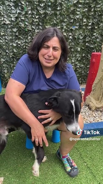 Pentru prințesele care încă îl caută pe Făt -Frumos, îl găsiți la Adăpostul Speranța. Făt Frumos, un cățel cu gene de border collie, dar care poate fi al tău gratis, dacă îl adopți din adăpost. #adapostulsperanta #fatfrumos #adopta #caine