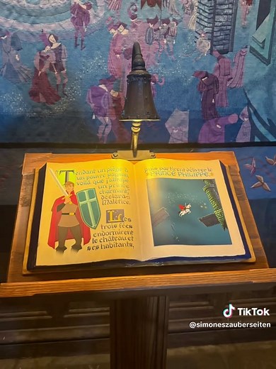 Disneyland Paris! Wunderschön gestaltet. Die Geschichte von Dornröschen. #märchen #disneyland #paris #dornröschen #disney #booktok #reader #bookdragon ~unbezahlteWerbung~