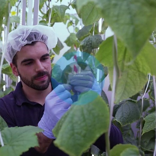 Alejandro Caravaca on Energy Sustainability | VBB’s Vision for a Greener Future