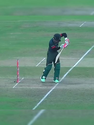 Top 10 Low IQ Moments in Cricket History 😂 #cricket #teamindia #iccwomensworldcup2025 | Crick News 24X7