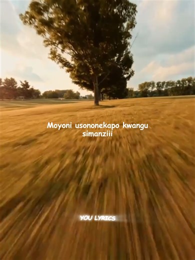 Number One - Diamond Platnumz #fyp #foryou #youlyrics #diamondplatnumz | number one diamond platnumz