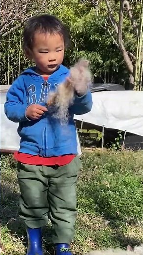 ガマの穂爆発 #外遊び