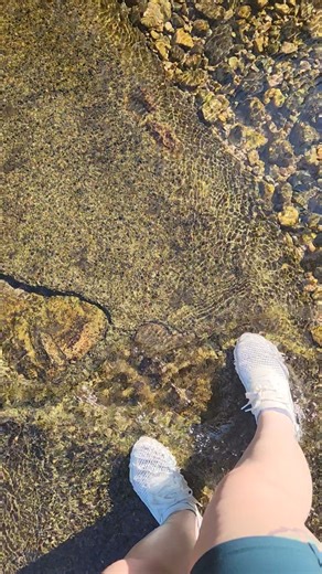 All I need 🥰 #mentalhealthwalk #nature #mexico