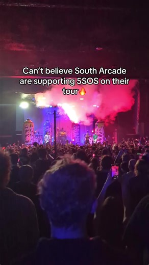 First Moshpit Experience at a 5 Seconds of Summer Show