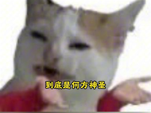 60c6fcf2e13cc22c5813f99e089c2e5b@260101回三白色诱惑