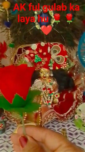 ak ful gulab ka laya hu 🌹🌹#short #trending #ytshorts