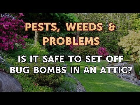 Is it Safe to Set Off Bug Bombs in an Attic?