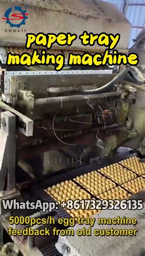 Waste Paper to Paper Trays | Paper Tray Making Machine Working Process #egg #eggtray #paper #recycle
