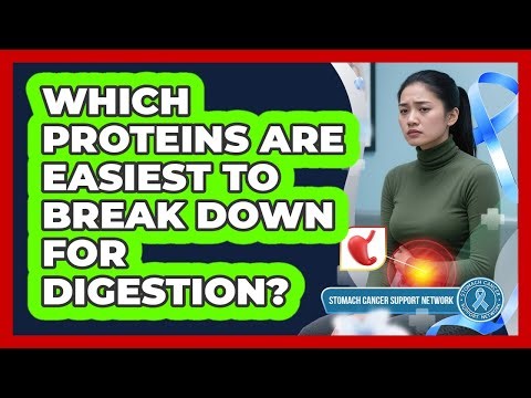 Which Proteins Are Easiest To Break Down For Digestion?