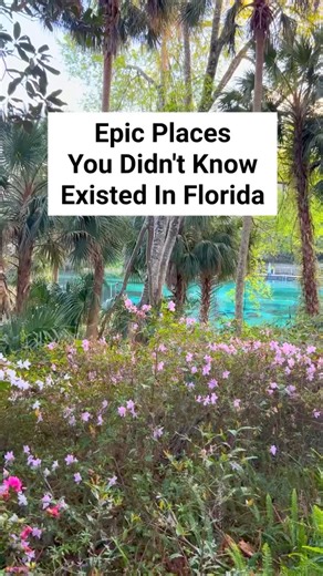 115K views · 2.4K reactions | Some little known gems to add to your Florida bucket list this spring! #emeraldcut #jupiter #jupiterfl #blowingrocks #silversprings #blowingrocks #spring #floridasprings #naturalsprings #floridaspring #naturalspring #beaches #bestbeaches #beachvibes #beautifuldestinations #adventure #getaways #staycation #floridalife #florida | Florida Trippers | Facebook
