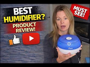 The Perfect Workspace Humidifier