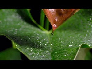 屏幕素质测试视频（2）