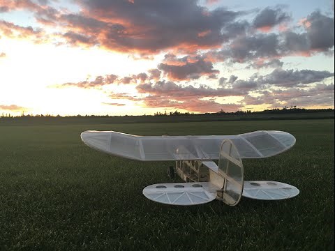 Lazy Bee - First Flight