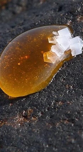 SatisfyState | Pure Visual Satisfaction