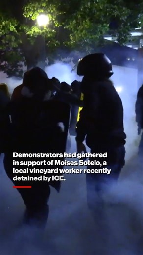 15K views · 289 reactions | Riot police unleashed tear gas and flash bangs to break up a tense protest outside Portland’s ICE building on June 18. | New York Post | Facebook