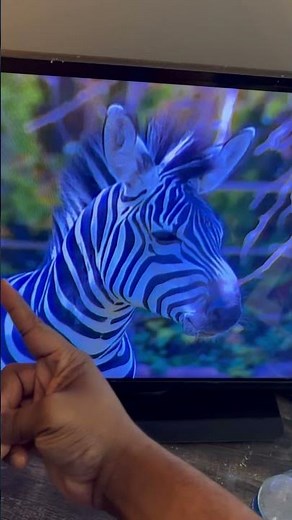 Barney Let’s Go To The Zoo Z is for Zebra (2003) 🦓