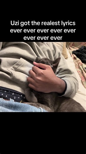 #liluzivert #cat #pablo
