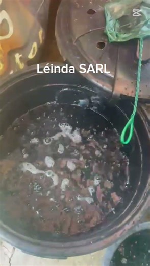 1000 alevins de silure bien reçu par notre client