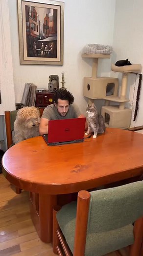 Emilio Hector Miranda on Reels