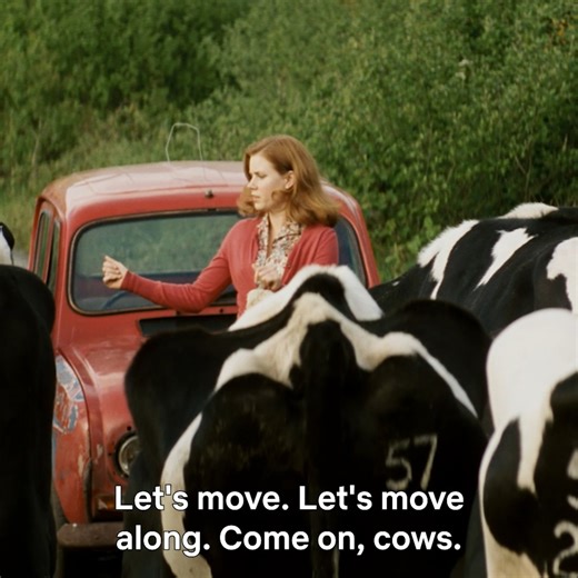 No love story is complete without a few obstacles moo-ving in the way. 🐄 LEAP YEAR is now playing on Netflix UK/IE. | Netflix