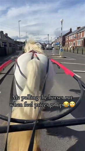 Rising Fuel Prices and Horse Hauling Comedy