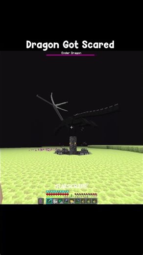 Dragon Got Scared #minecraft