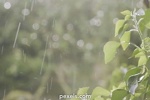 Background For Cinematic Videos, Download The BEST Free 4k Stock Video Footage & Background For Cinematic HD Video Clips