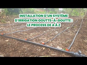 Système d'Irrigation Goutte-à-Goutte de A à Z : tout le processus complet !