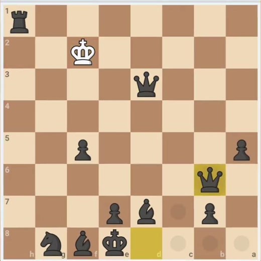 Human vs computer who will win (Chess YT)