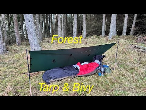 A Christmas Tarp & Bivy Hidden in the Forest
