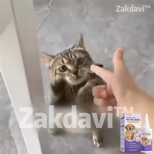 🐶 Ever looked into your dog’s eyes and noticed they’re not as bright as before? It breaks your heart — the redness, the tears, the cloudiness that wasn’t there yesterday. Now there’s a gentle, vet-trusted way to bring back that sparkle — no pain, no harsh chemicals. ✅ Soothes redness, dryness & irritation ✅ Helps clear cloudy eyes & tear stains ✅ Supports long-term eye health naturally ✅ Safe for all breeds, all ages — even seniors 💛 Thousands of loving dog parents have already seen their pups