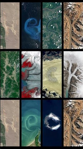 We let Earth redesign our logo