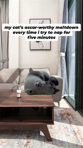 Untitled Facebook Video