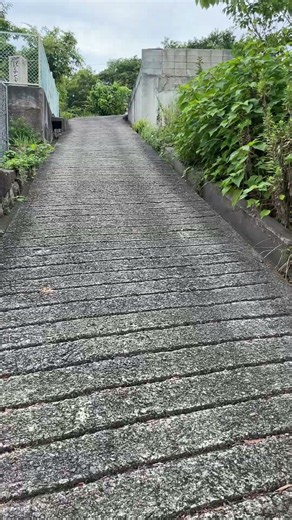 Can we Make It to the Top?! | Kure Japan #shorts