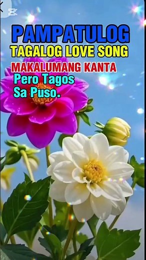 Pampatulog Tagalog Love Song Makalumang Kanta Pero Tagos Sa Puso 💖 #musicsong #lumangtugutgin #pinoy